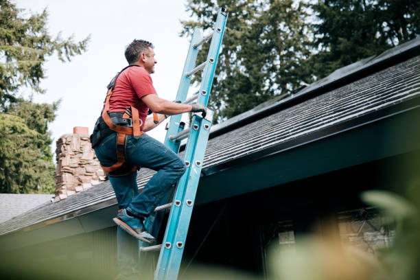 Best Roof Moss and Algae Removal  in Decatur, MS